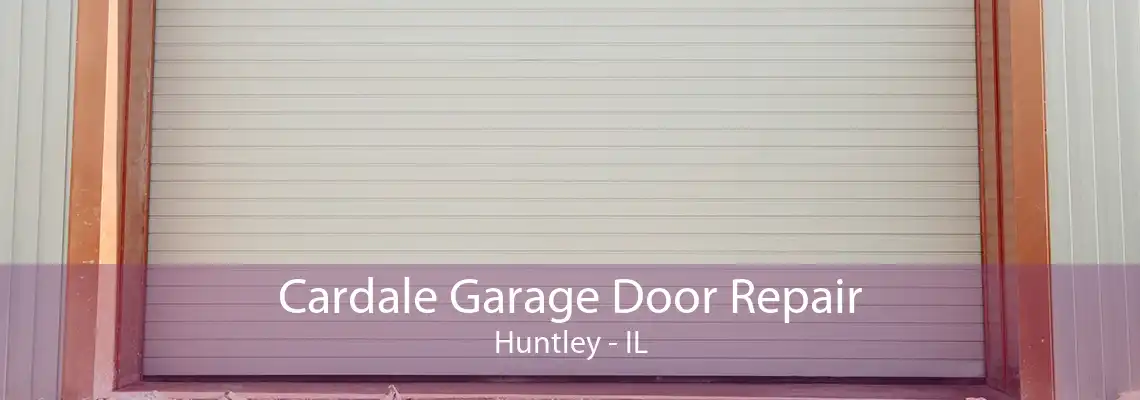 Cardale Garage Door Repair Huntley - IL