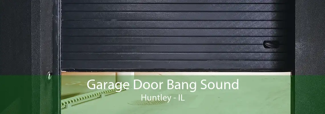 Garage Door Bang Sound Huntley - IL