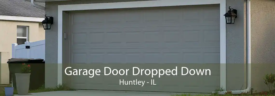 Garage Door Dropped Down Huntley - IL