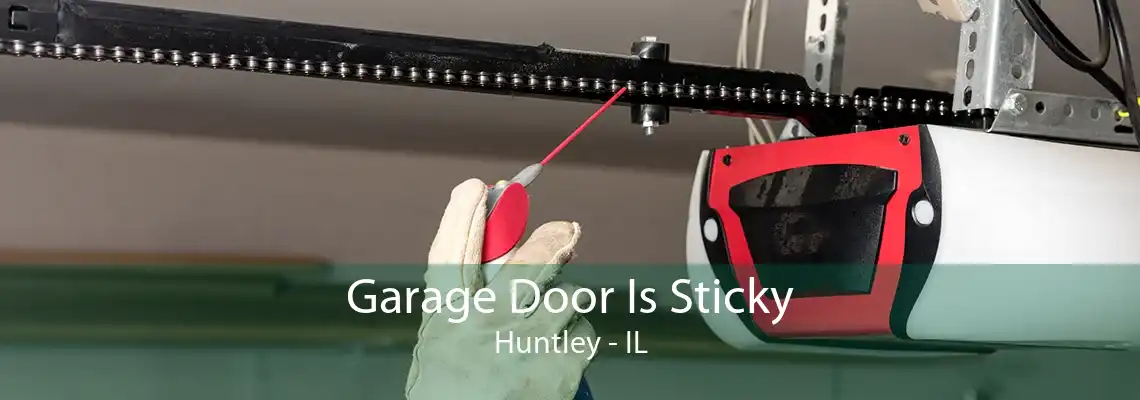 Garage Door Is Sticky Huntley - IL