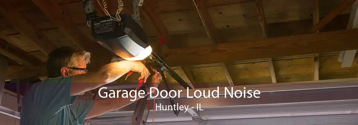 Garage Door Loud Noise Huntley - IL