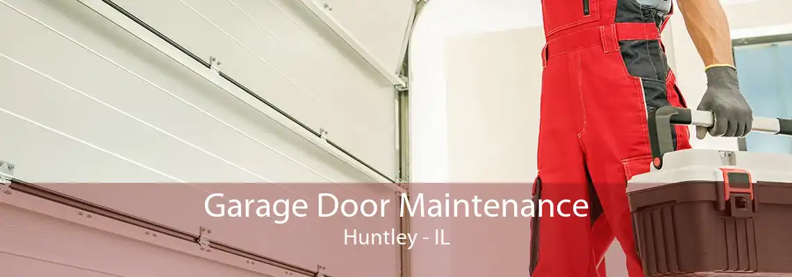 Garage Door Maintenance Huntley - IL