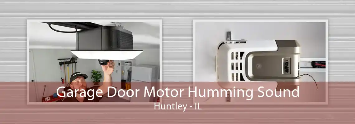 Garage Door Motor Humming Sound Huntley - IL