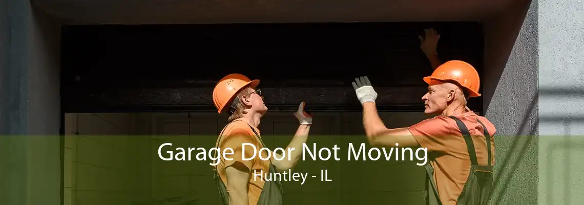 Garage Door Not Moving Huntley - IL