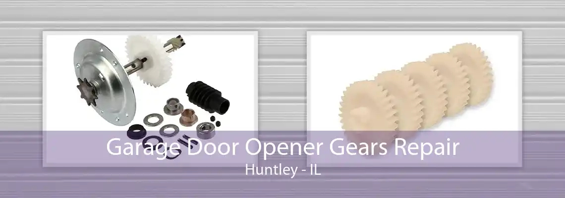 Garage Door Opener Gears Repair Huntley - IL