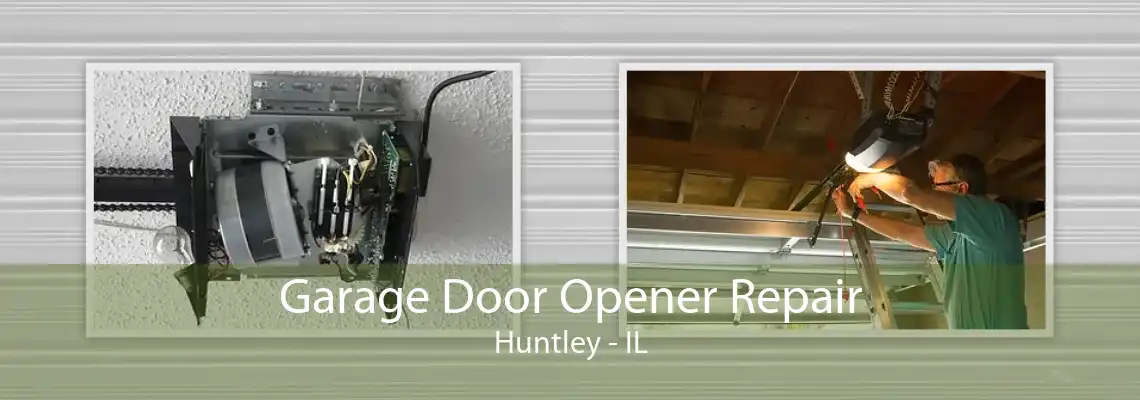 Garage Door Opener Repair Huntley - IL