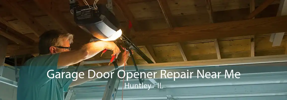 Garage Door Opener Repair Near Me Huntley - IL