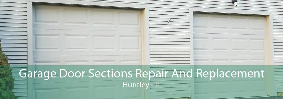 Garage Door Sections Repair And Replacement Huntley - IL