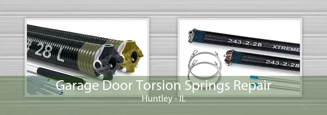 Garage Door Torsion Springs Repair Huntley - IL