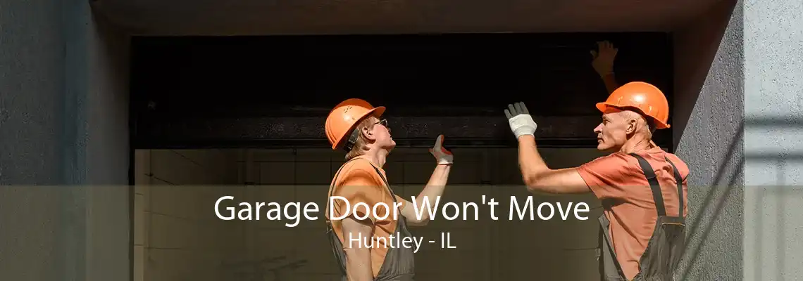 Garage Door Won't Move Huntley - IL