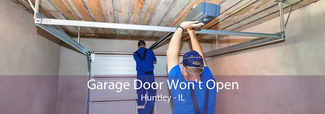 Garage Door Won't Open Huntley - IL