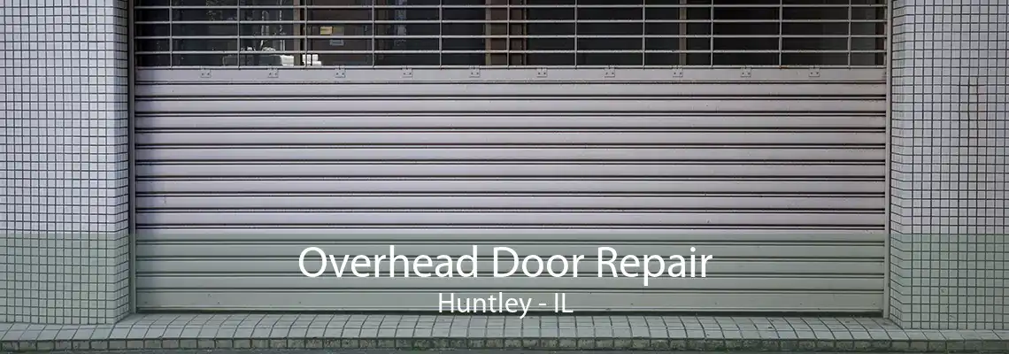 Overhead Door Repair Huntley - IL